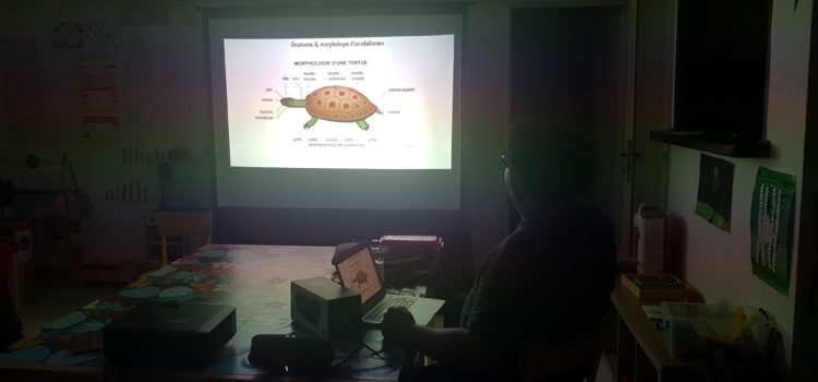 Conférence sur les tortues de Guyane